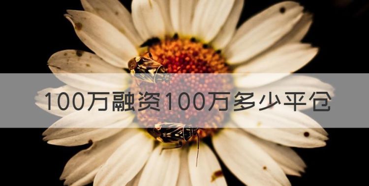 平仓线是什么意思，00万融资00万多少平仓图1