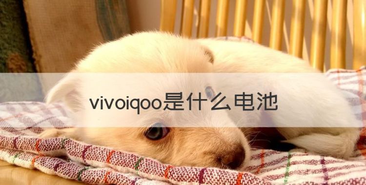 vivoiqoo是什么电池，iqooneo3电池掉的太快图1