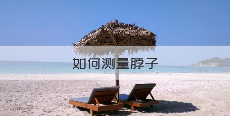 如何测量脖子，怎么知道自己脖子的长短?图1