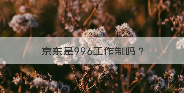 京东是996工作制，京东为什么要实行996的工作时间制呢图1