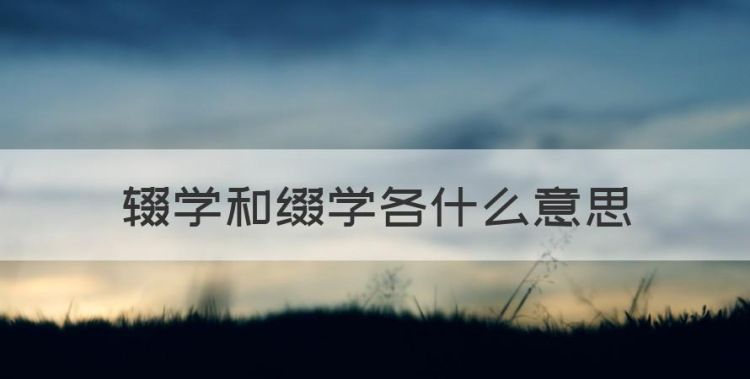 缀学是什么意思，辍学和缀学各什么意思图1