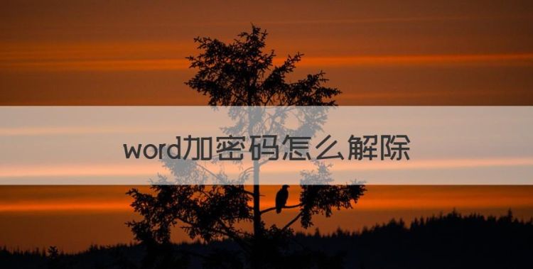 word加密码怎么解除，word文档设密码怎么设图1