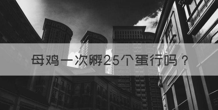 母鸡一次孵25个蛋行，一只母鸡一窝孵多少蛋合理图1