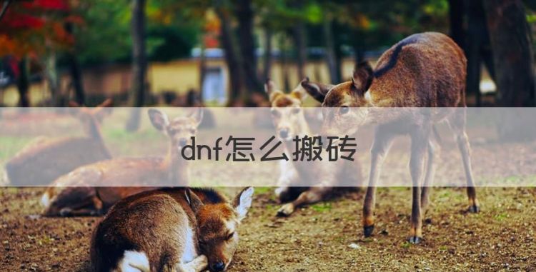 dnf怎么搬砖，DNF如何快速搬砖图1