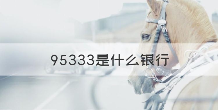 95333是什么银行，96533是什么银行电话图1