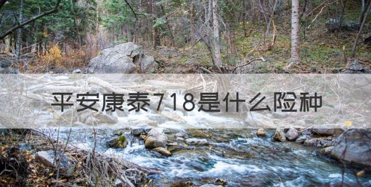 平安康泰78是什么险种，平安康泰是什么类型的保险图1