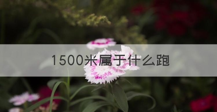 500米属于什么跑，500米属于什么地形图1