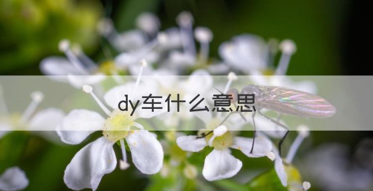 dy车什么意思，电脑车自动断线短怎么回事图1