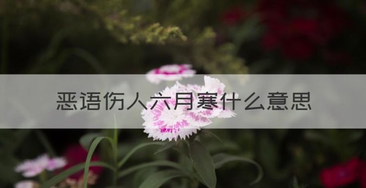 恶语伤人六月寒什么意思