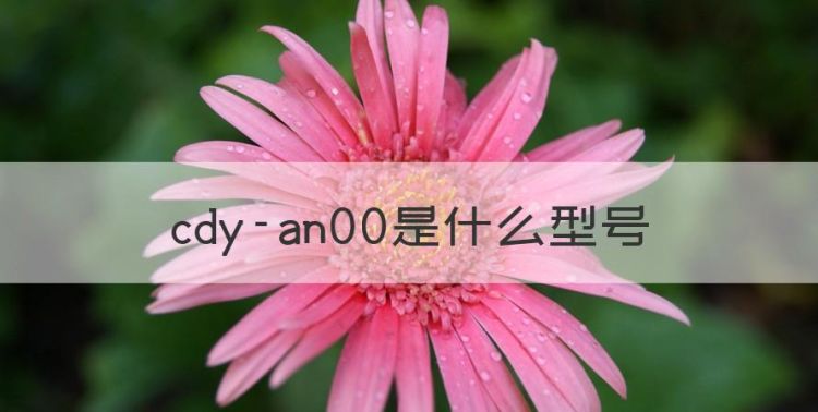 cdy-an00是什么型号，cdyan00是什么型号多少钱