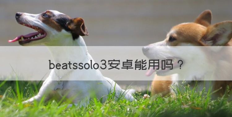 beatssolo3安卓能用图1