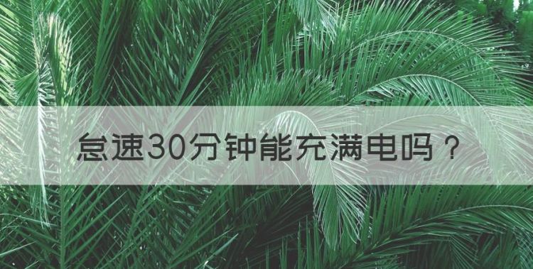 怠速30分钟能充满电图1