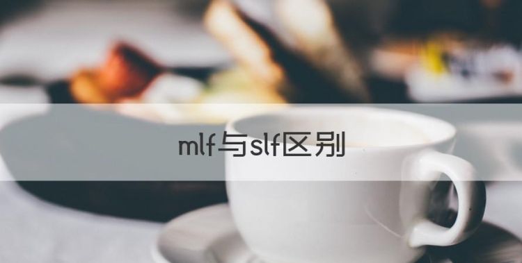 mlf与slf区别，slf和mlf的区别酸辣粉披萨图1