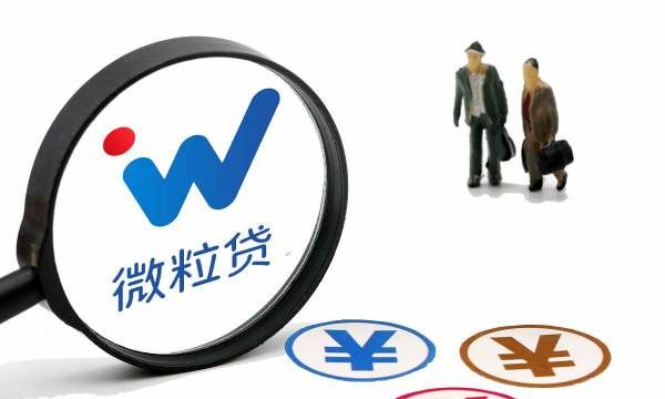 为什么微信没微粒贷图3