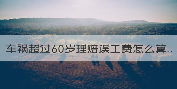 车祸超过60岁理赔误工费怎么算图1