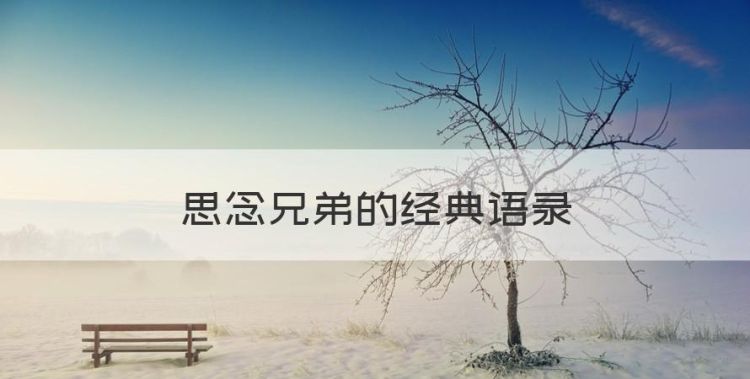 思念兄弟的经典语录，亲兄弟情深的经典句子八个字