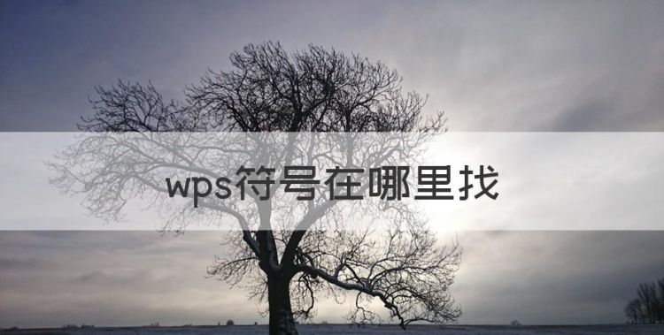 wps符号在哪里找，wps表格中怎么求和图1