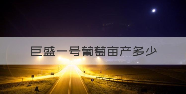 巨盛一号葡萄亩产多少，盆栽葡萄什么品种最好图1