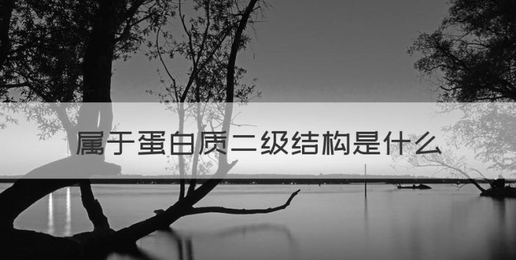 属于蛋白质二级结构是什么，蛋白质的二级结构包括哪几种,驱动图1