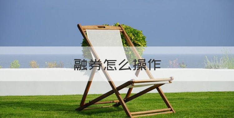 融券怎么操作，融资融券业务必须到开户营业部办理嘛图1