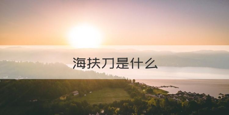 海扶刀是什么，海扶刀的简介图1