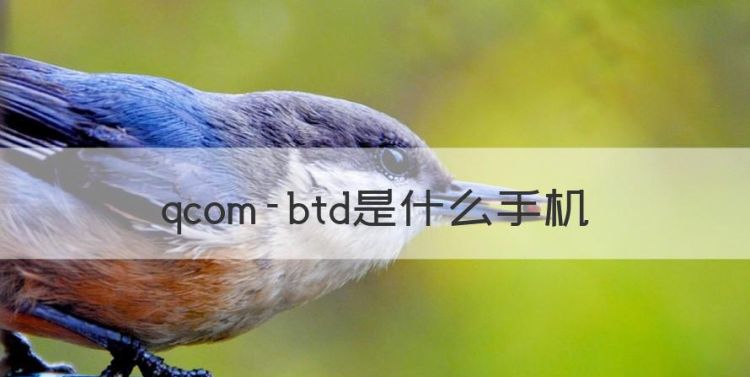 qcom-btd是什么手机，手机为什么蓝牙搜索不到设备图1