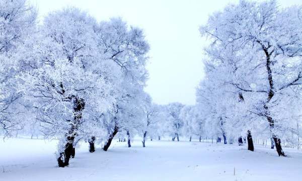 五有关的谚语，关于雪的谚语有哪些四年级图2