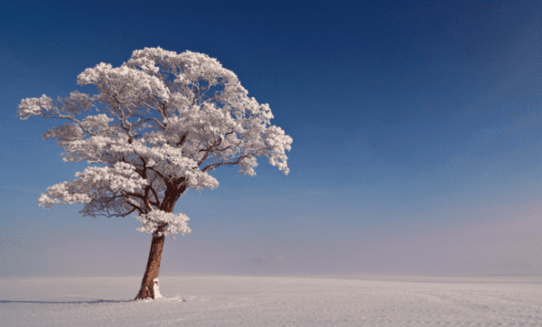 五有关的谚语，关于雪的谚语有哪些四年级图3