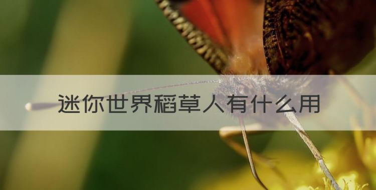 迷你世界稻草人有什么用，迷你世界稻草人怎么做新版本图1