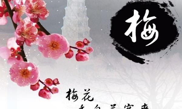 有关花的词语，与花有关的词语图4