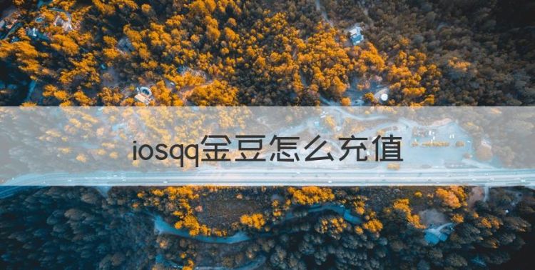 iosqq金豆怎么充值，苹果手机怎么买qq主题图1