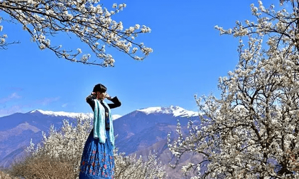 莱阳梨花节什么时间，财神节的由来是什么图3