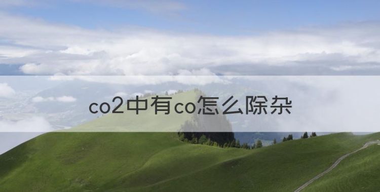 co2中有co怎么除杂图1