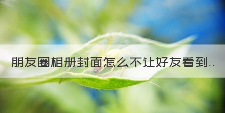 朋友圈相册封面怎么不让好友看到图1