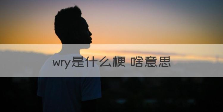 wry是什么意思，wry是什么梗 啥意思图1