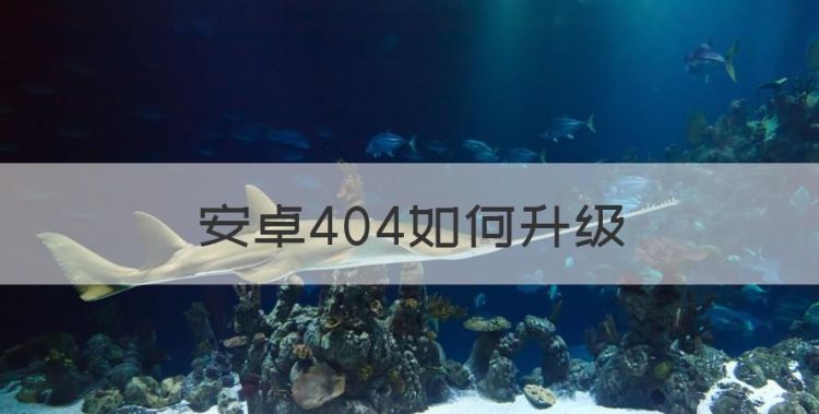 安卓404如何升级，爱可视404怎么重装系统图1