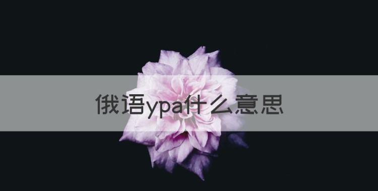 俄语ypa什么意思，ypa什么意思中文翻译图1