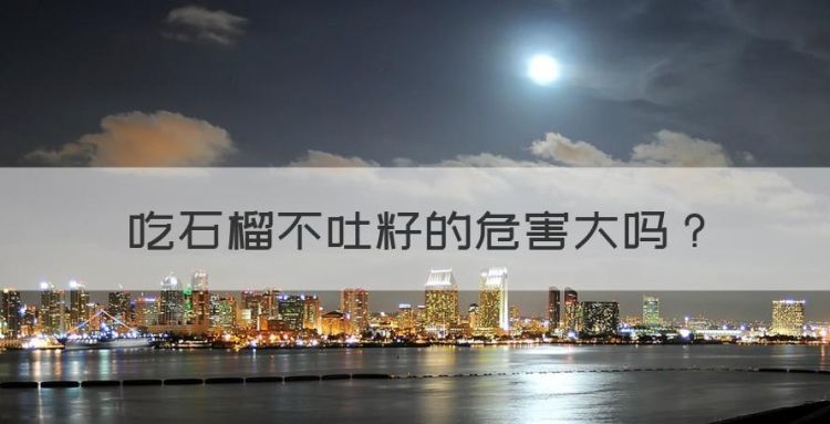 吃石榴不吐籽可以吗，吃石榴不吐籽的危害大图1