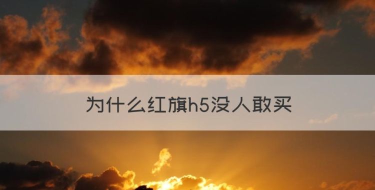 为什么红旗h5没人敢买，2023款红旗hs5为什么不值得买图1