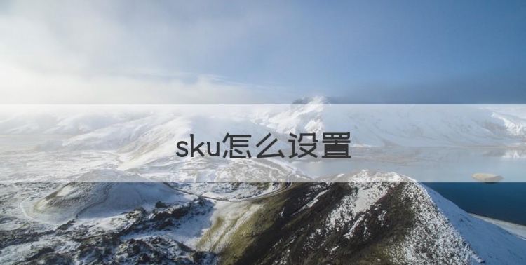 sku怎么设置，京东sku编码在哪里找到图1