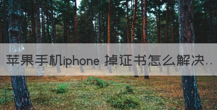 苹果手机iphone 掉证书怎么解决图1