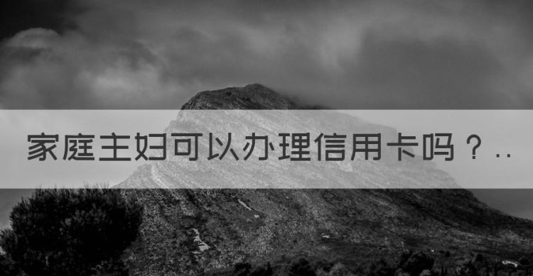 怎么申请信用卡，家庭主妇可以办理信用卡图1