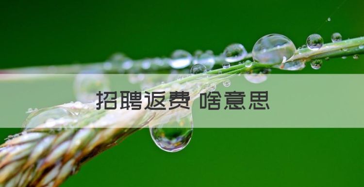 反聘是什么意思，招聘返费 啥意思图1