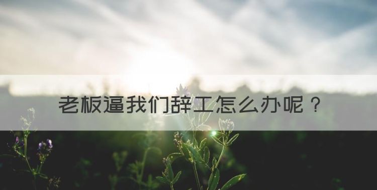 老板逼我们辞工怎么办，如果老板暗示你自动离职该怎么办1