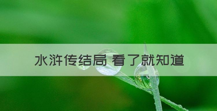 水浒传结局 看了就知道，《水浒传》结局是什么?