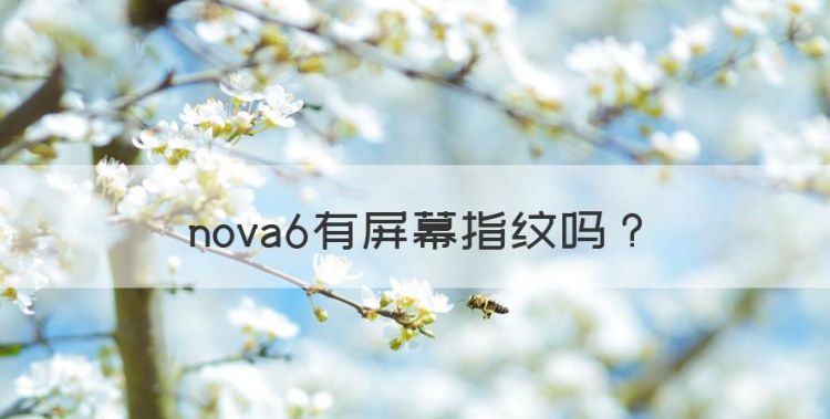 nova6有屏幕指纹，华为nova6手机参数配置介绍