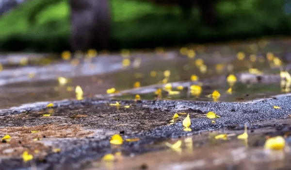 关于秋雨的哲学句子，秋雨意境很美的诗句图3