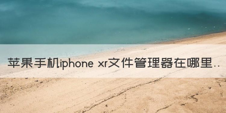 苹果手机iphone xr文件管理器在哪里图1