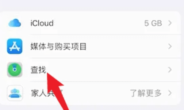 查找我的苹果手机iphone 在哪里打开图18