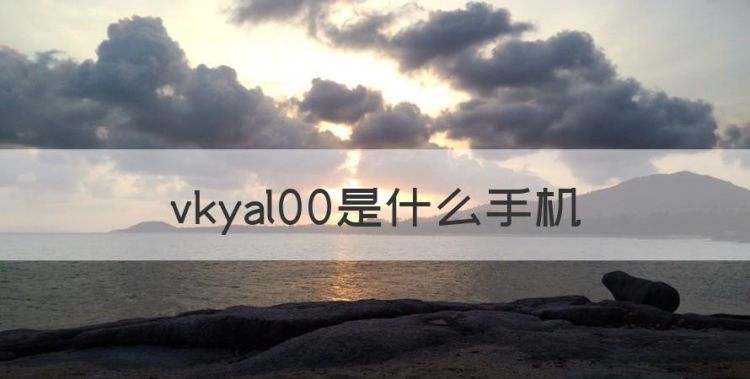 vkyal00是什么手机图1